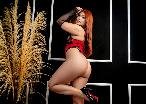 Ember Price - Die Flamme des Vergnügens